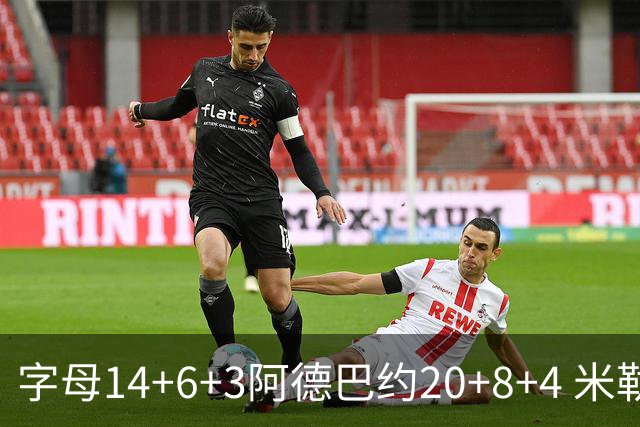字母14+6+3阿德巴约20+8+4 米勒34分黄蜂送热火3连败